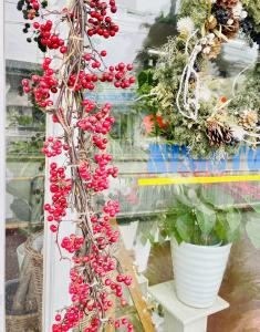 クリスマスの飾りに、、、｜「西冨花園」　（大阪府池田市の花キューピット加盟店 花屋）のブログ